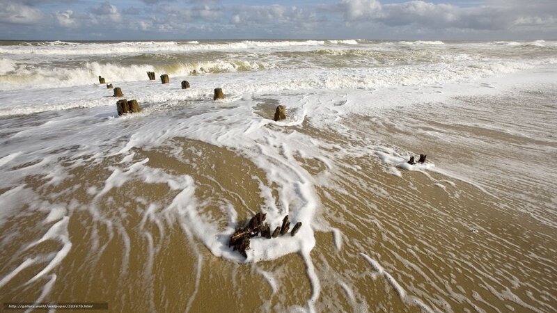 Wooden Posts on Beach — Brown, Dramatic, Afternoon