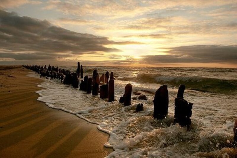 Wooden Posts on Beach — Brown, Dramatic