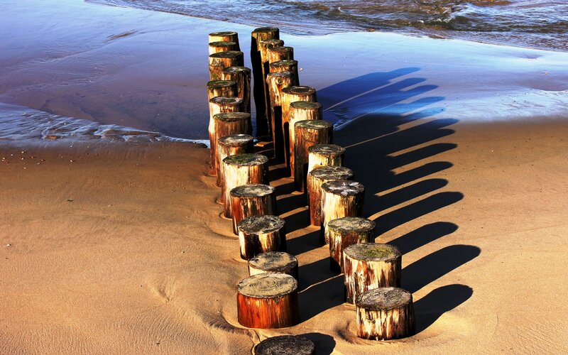 Wooden Posts on Beach — Brown, Serene