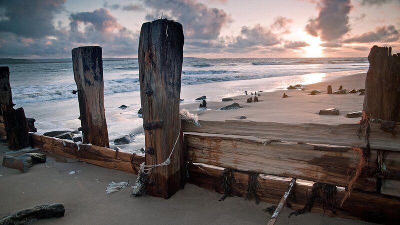 Wooden Posts on Beach — Brown