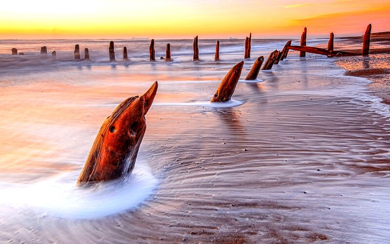 Wooden Posts on Beach — Orange, Serene