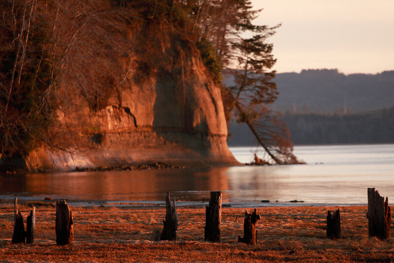 Wooden Posts on Beach — Orange