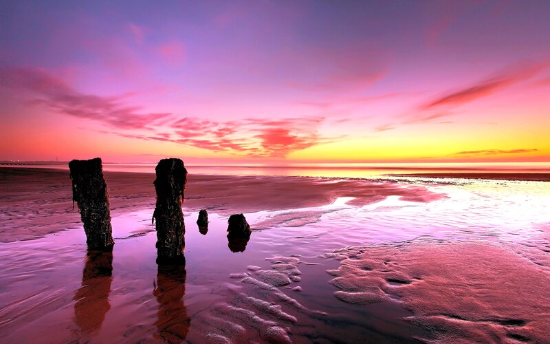 Wooden Posts on Beach — Pink
