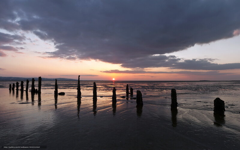 Wooden Posts on Beach — Purple, Dramatic, Sunset, Photograph