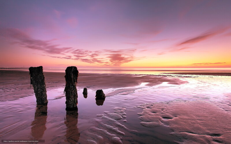 Wooden Posts on Beach — Purple, Serene, Sunset
