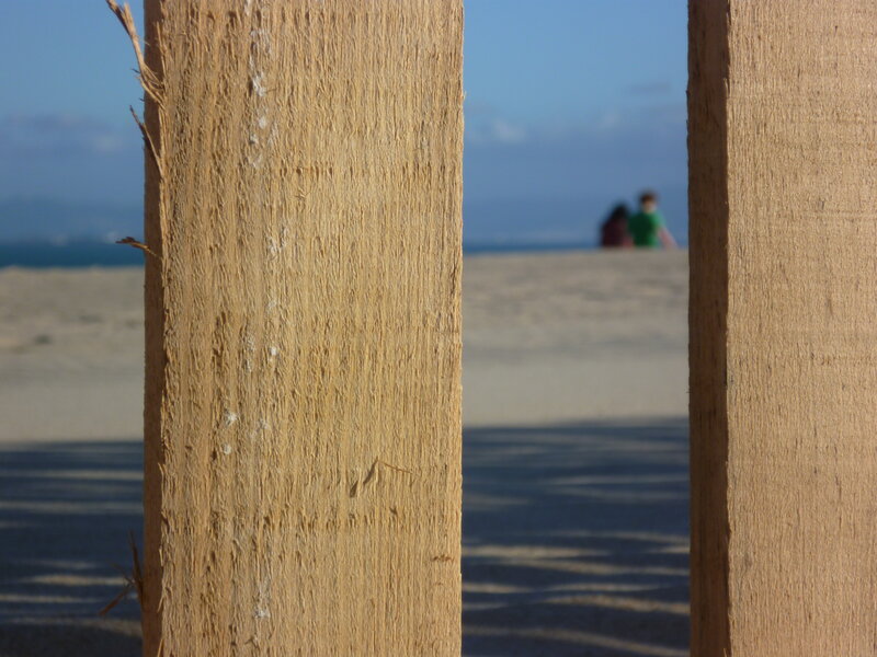 Wooden Posts on Beach