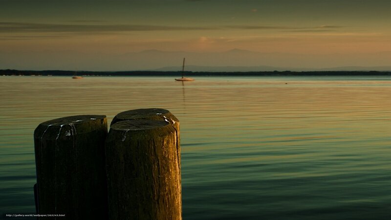 Wooden Posts on Lake