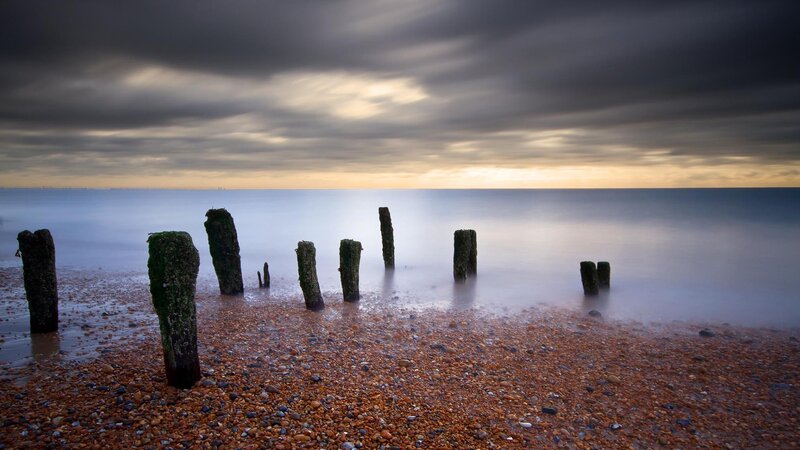 Wooden Posts on Pebble Beach — Gray, Dramatic