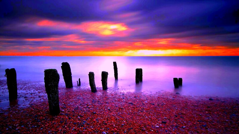 Wooden Posts on Pebble Beach