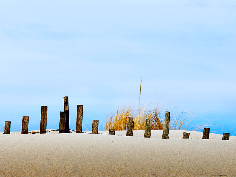Wooden Posts on Sand Dune