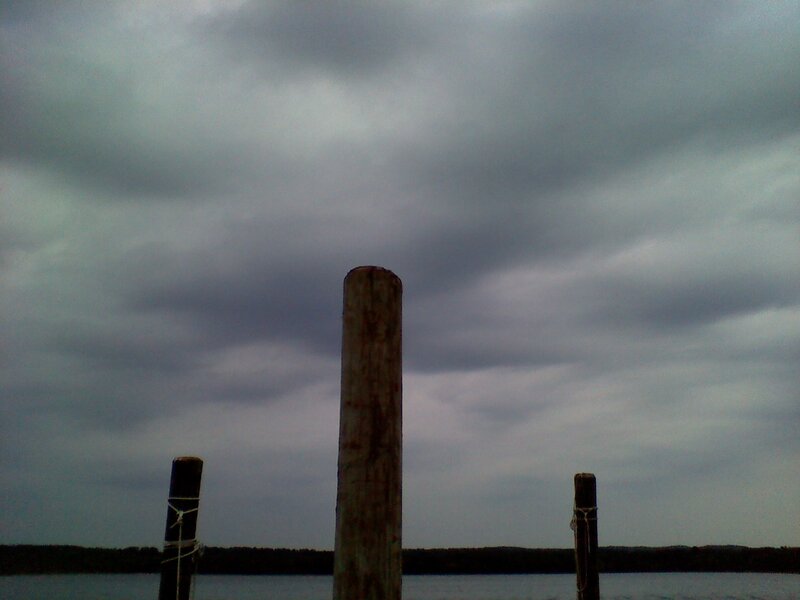 Wooden Posts on Water