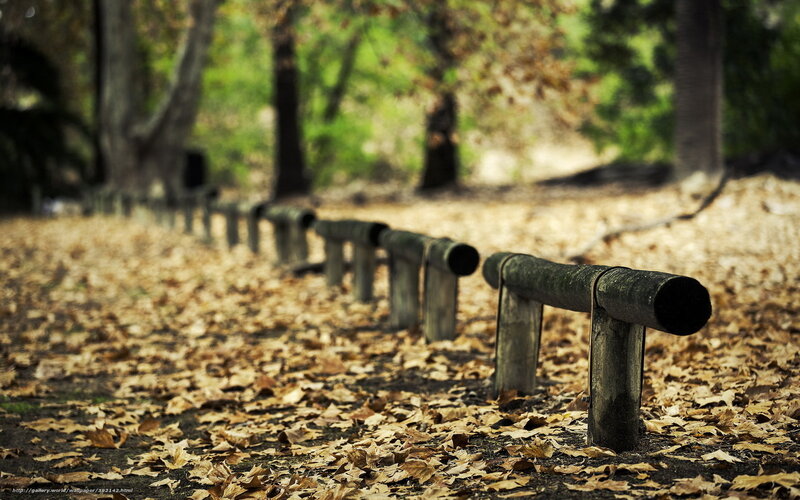 Wooden rail in autumn park
