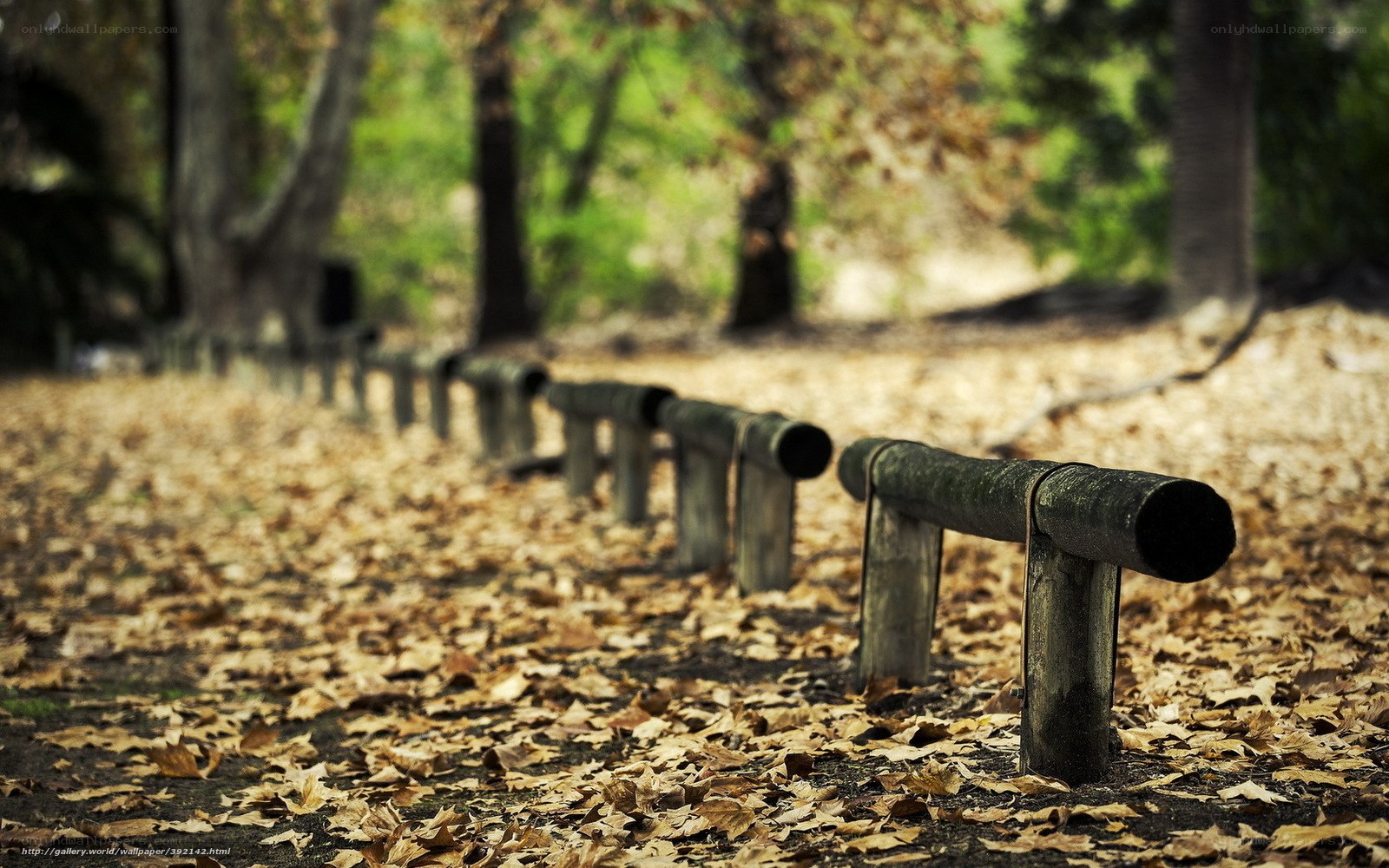 Wooden rail in autumn park