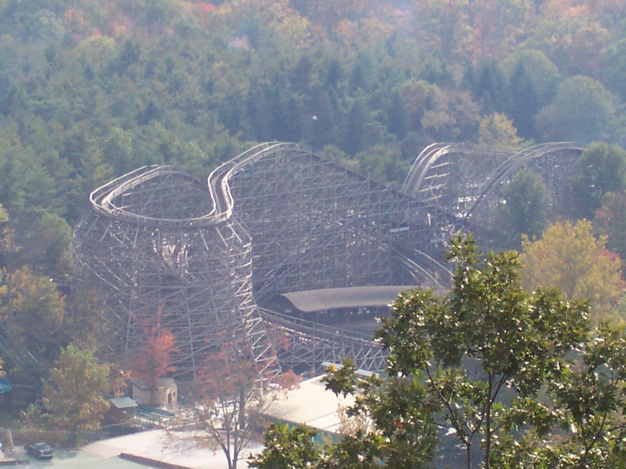 wooden roller coaster in forest