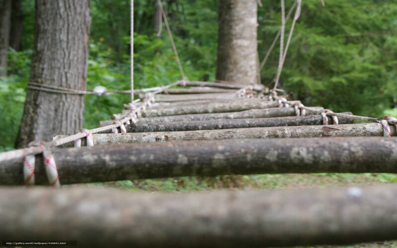 Wooden Rope Bridge — Green