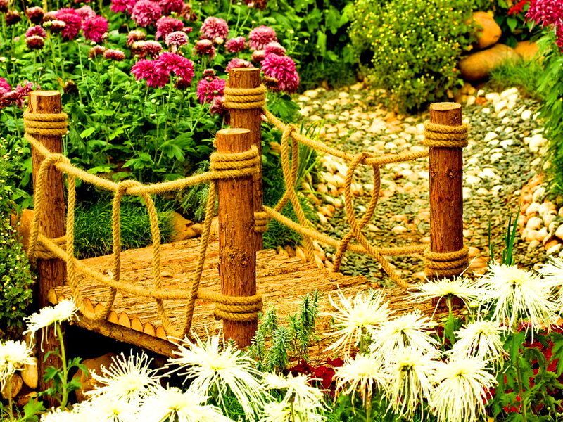 Wooden Rope Bridge