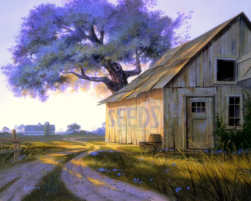 Wooden Shed and Tree