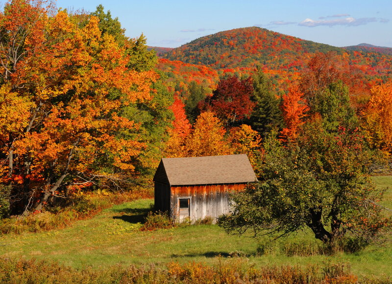 Wooden Shed in Autumn — Orange