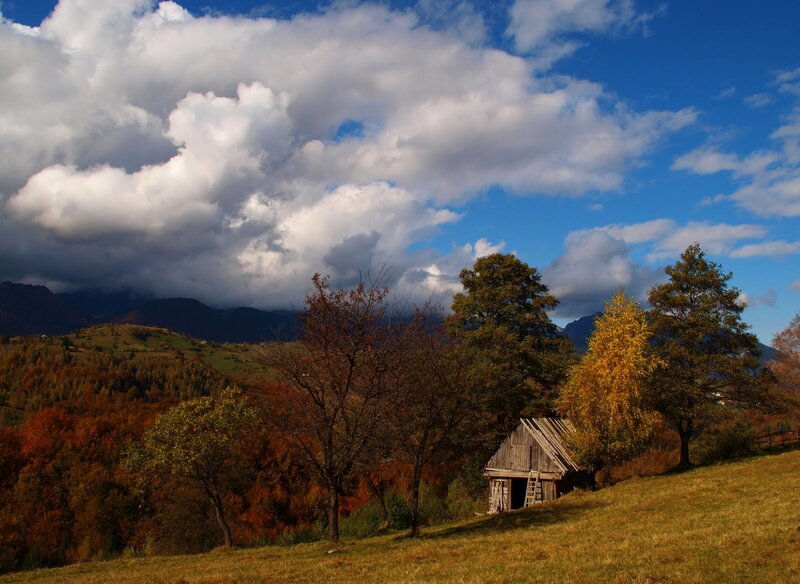 Wooden Shed in Autumn
