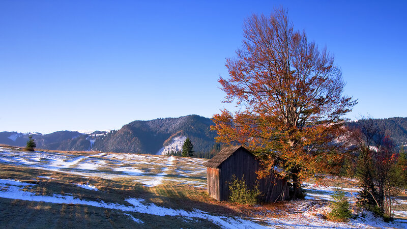 Wooden Shed in Field — Blue