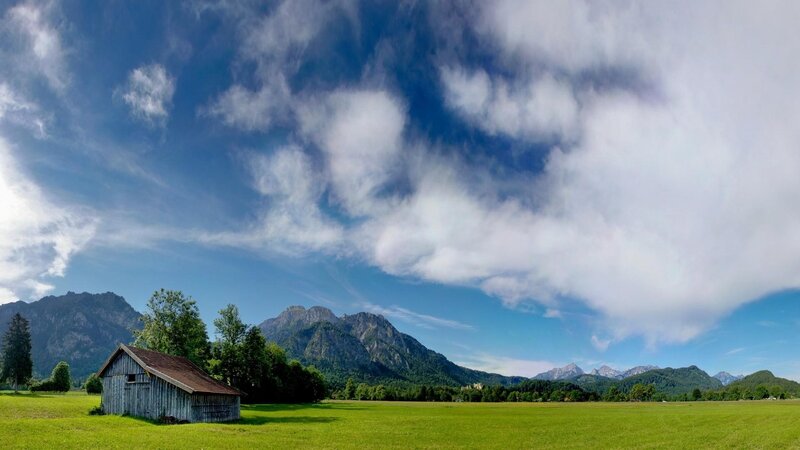 Wooden Shed in Field — Green