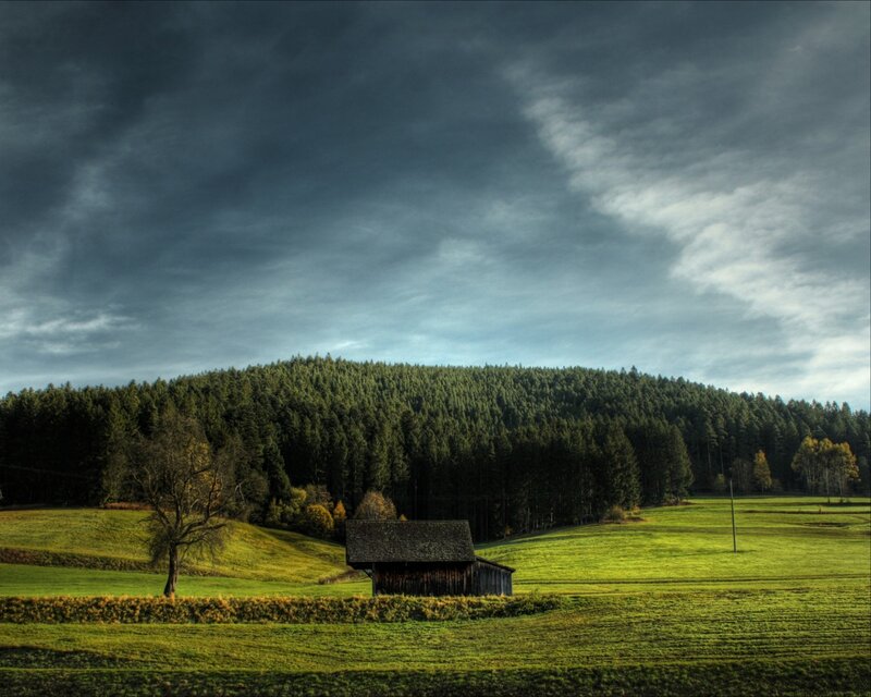 Wooden Shed in Field