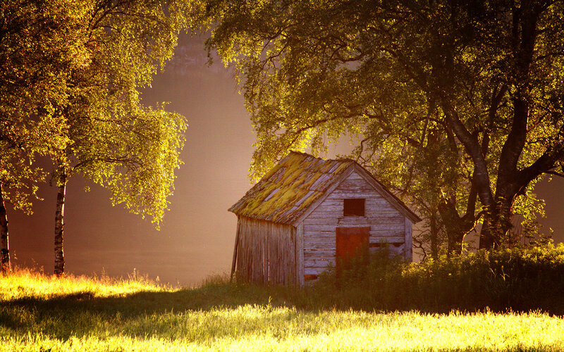 Wooden Shed in Field — Yellow