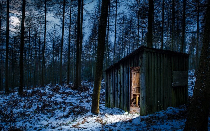 Wooden Shed in Forest — Blue