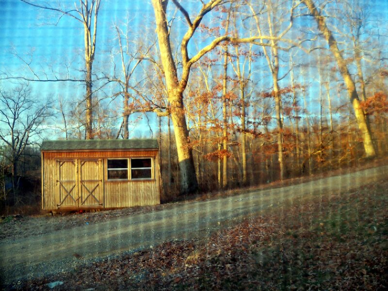 Wooden Shed in Forest — Brown, Serene