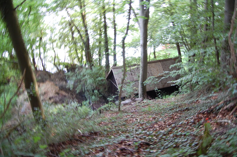 Wooden Shed in Forest — Green, Natural