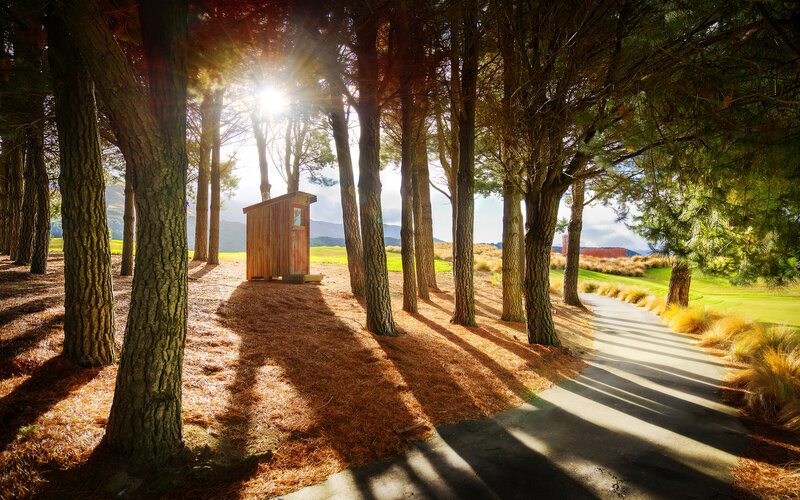 Wooden Shed in Forest — Green, Serene