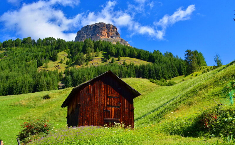 Wooden Shed in Meadow