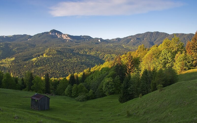 Wooden Shed in Valley — Green
