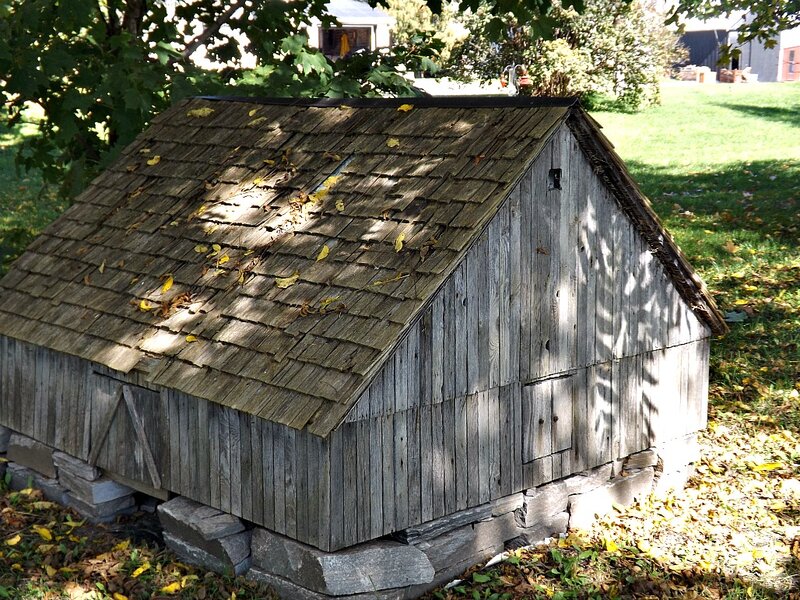 Wooden Shed in Yard