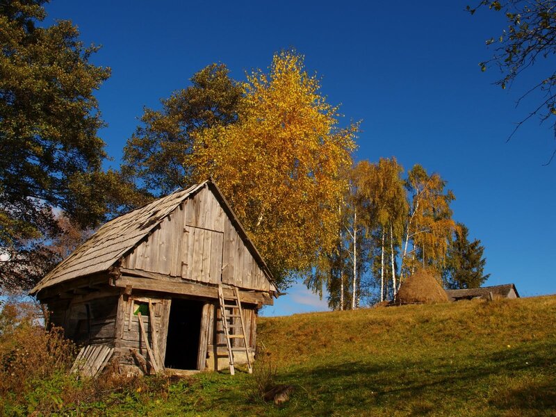 Wooden Shed on Hill
