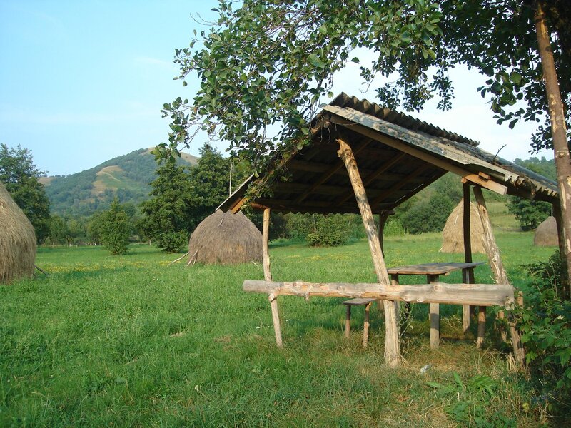 Wooden Shelter in Field