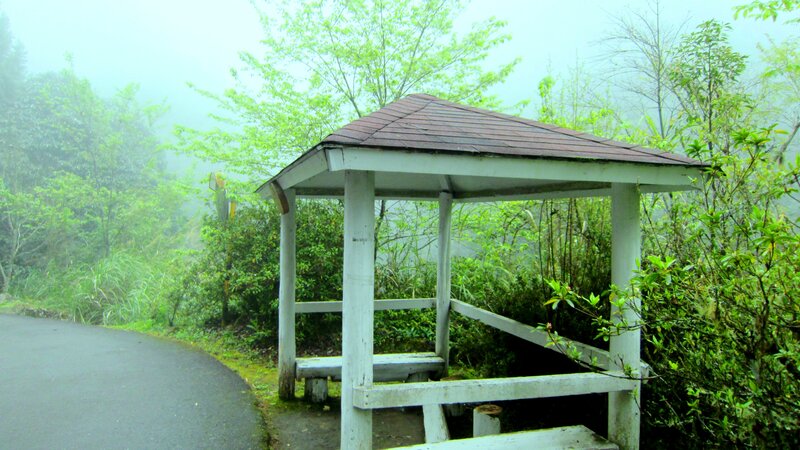 Wooden Shelter in Fog