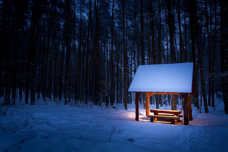 Wooden Shelter in Forest — Blue