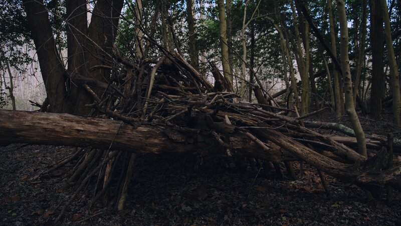 Wooden Shelter in Forest — Brown