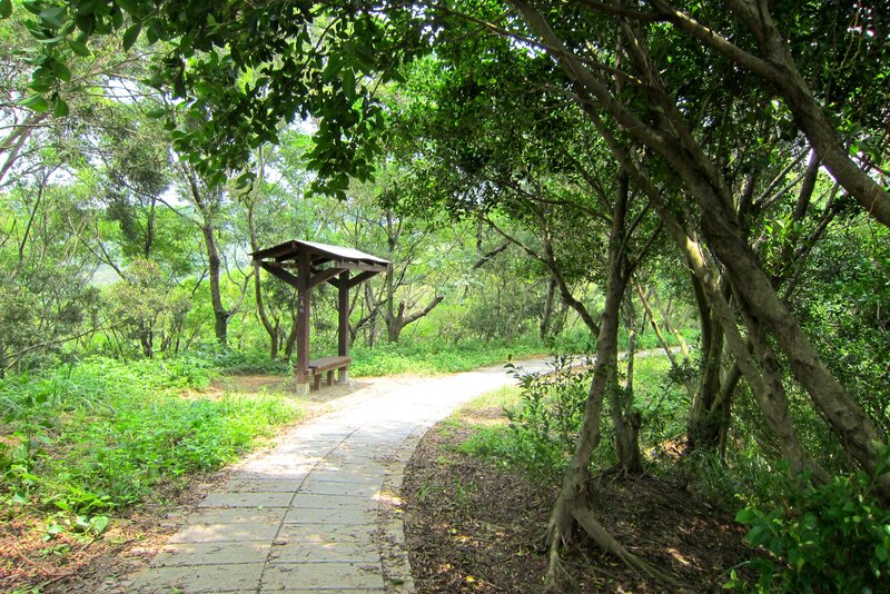 Wooden Shelter in Forest — Green