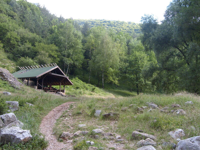 Wooden Shelter in Forest
