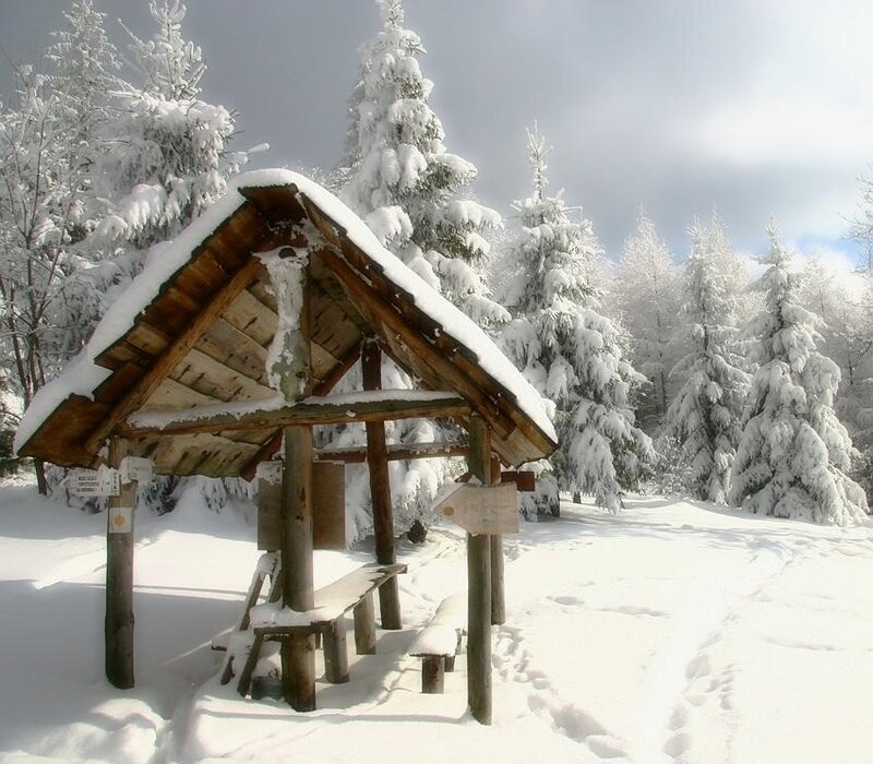 Wooden Shelter in Snow