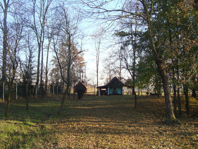 Wooden Shelters in Forest