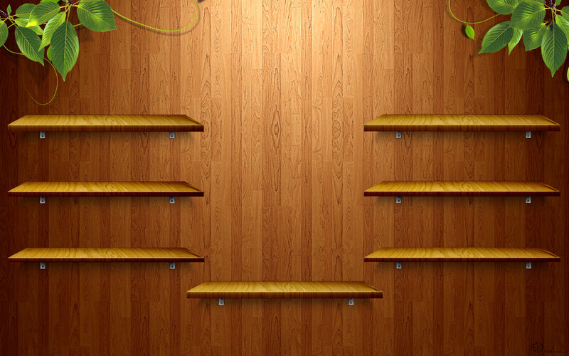 Wooden Shelves on Wall