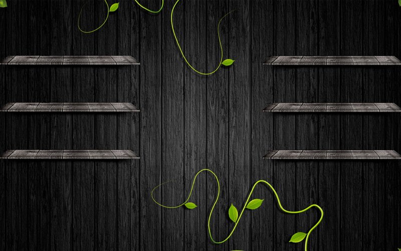Wooden Shelves with Vines