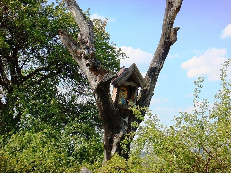 Wooden Shrine in Tree