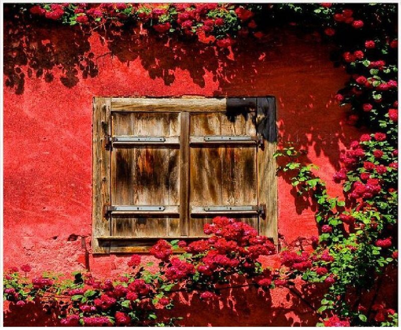 Wooden Shutters on Red Wall