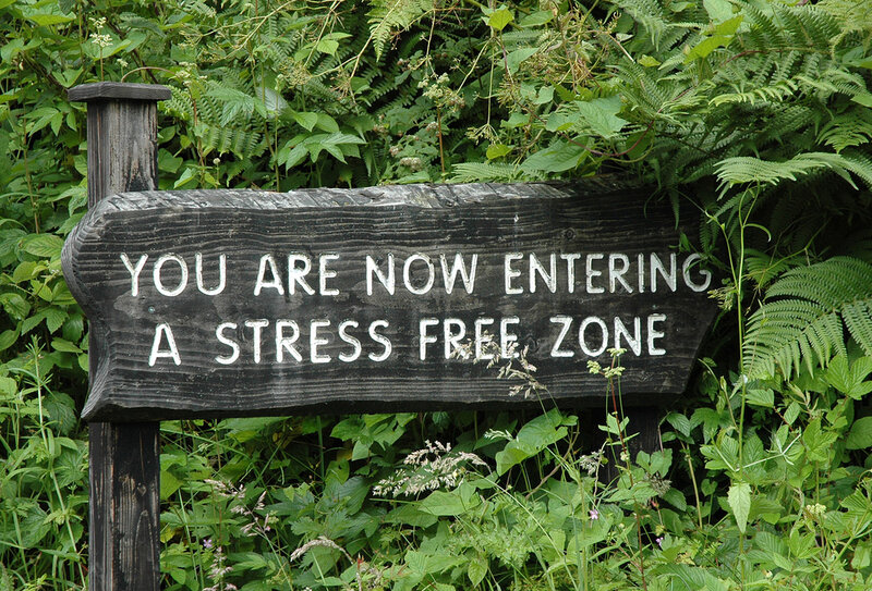 Wooden Sign in Foliage