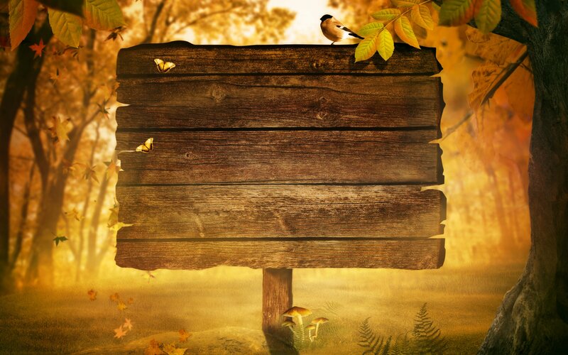 Wooden Sign in Forest — Brown