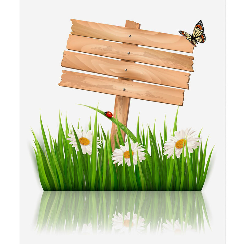 Wooden Sign in Grass — Green, Serene